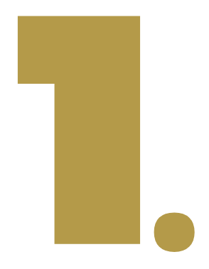 Ícone Camada 1 - Overlay