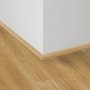 Cantoneira Vision Carvalho Vitoriano 01462 Br 2,40m