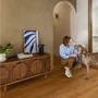 Piso Laminado Quick Step Smart Jatobá Caramelo QSSM08819 Cx 2,51m²